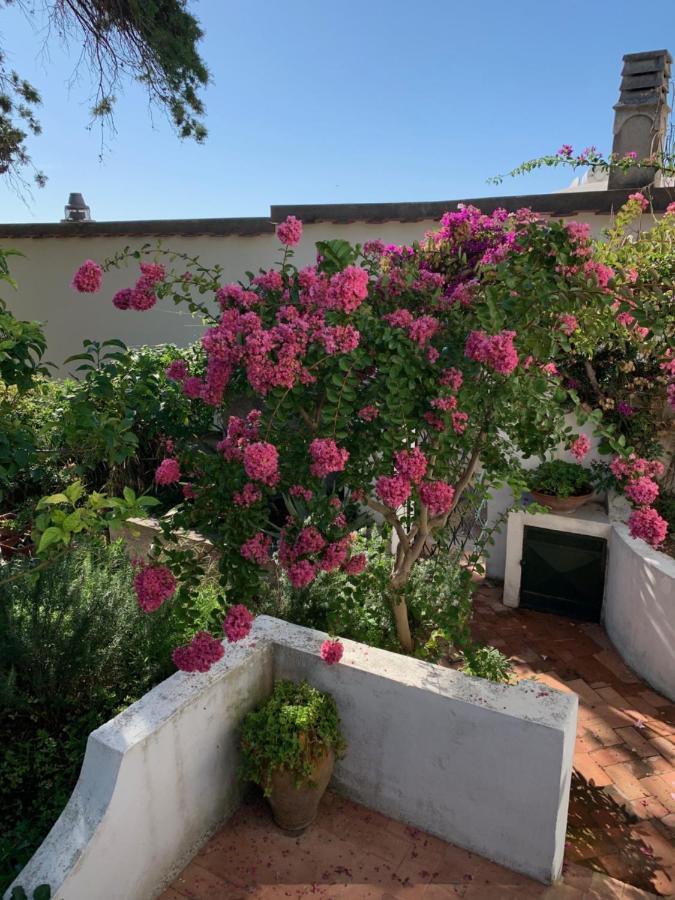 Il Geranio Bed & Breakfast Anacapri  Bagian luar foto