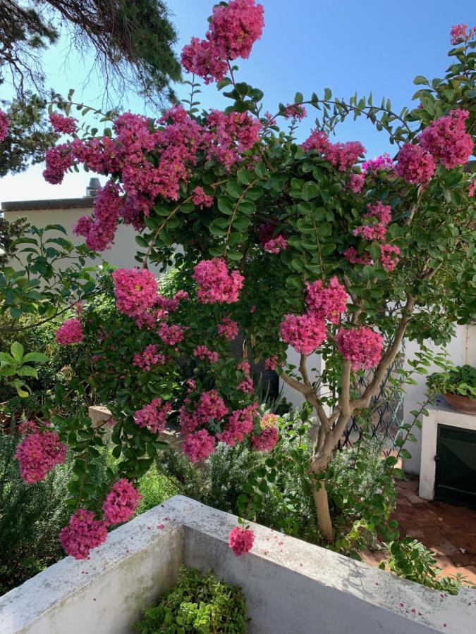 Il Geranio Bed & Breakfast Anacapri  Bagian luar foto